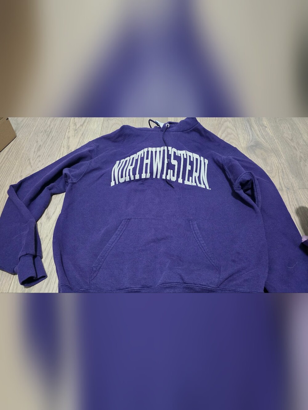 Champion Purple Northwestern Pullover Crewneck